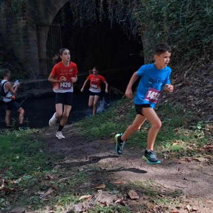 Trail de Montaigu le 13/09/2026